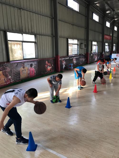 篮球基地_篮球基地训练营